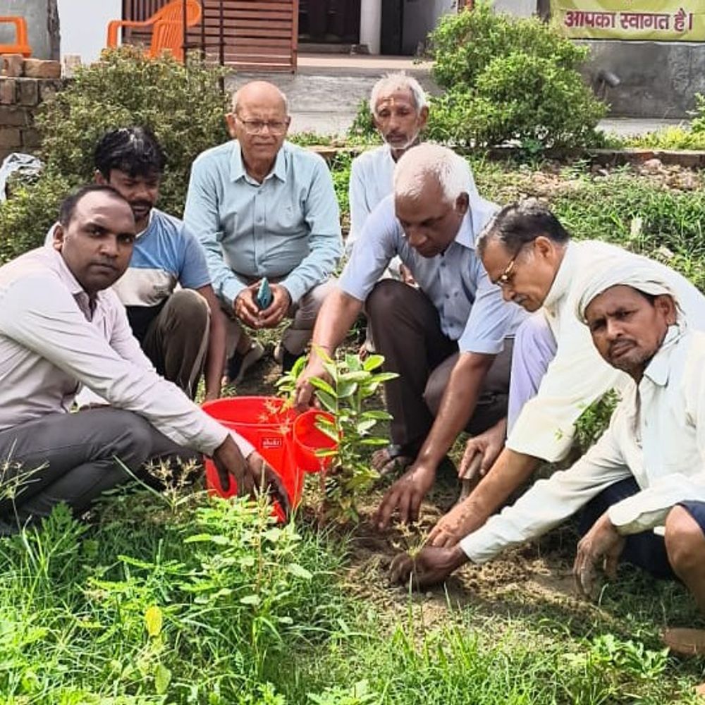 केमिस्ट एसोसिएशन ने गायत्री सेवा आश्रम में किया वृक्षारोपण:आम, नीम, अमरूद सहित विभिन्न पौधे रोपे, पर्यावरण संरक्षण का लिया संकल्प