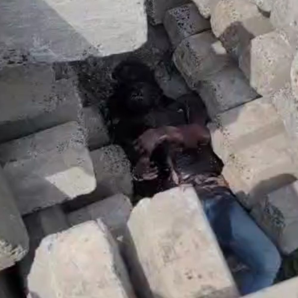 
                 देवास में रेलवे माल गोदाम के पास मिला शव:पुराना होने से नहीं हो सकी पहचान; पुलिस शिनाख्त की कोशिश में जुटी 
            