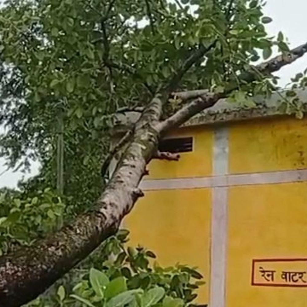 
                 आंगनवाड़ी केंद्र पर बरगद का पेड़ गिरा:मंडला में भवन में बच्चे मौजूद नहीं थे, बाउंड्री वॉल क्षतिग्रस्त 
            