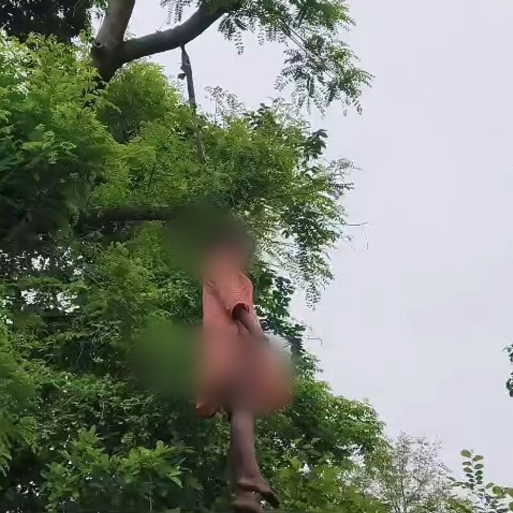 
                 फंदे पर लटका मिला 19 वर्षीय युवती का शव:सिंगरौली में कपड़ों की स्थिति, ऊंचाई पर लटकने पर हर एंगल से जांच कर रही पुलिस 
            