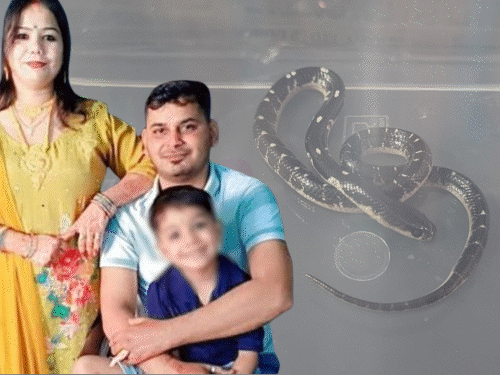 
                 पत्नी ने स्कूल मालिक पति को सांप से डसवाकर मारा:आधी रात बिस्तर पर सांप छोड़ा, लव-मैरिज की थी; मेरठ में शादीशुदा वैन ड्राइवर से अफेयर था 
            