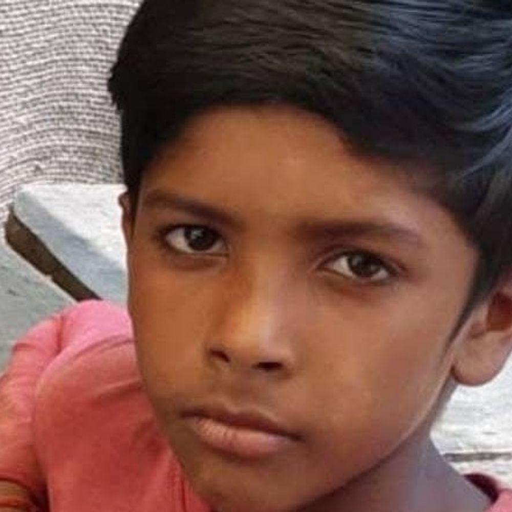 किशोर को सांप ने डसा, इलाज के दौरान मौत:परिजन झाड़-फूंक के लिए ले गए दतिया, नहीं बचा सके जान