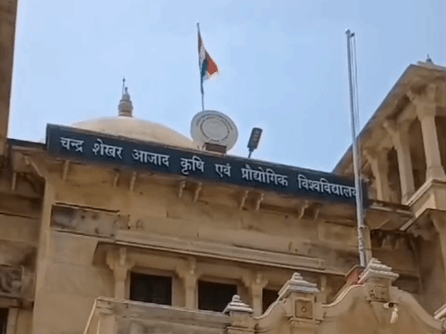 CSA में 20 जुलाई से मशरुम उत्पादन की ट्रेनिंग:छह दिवसीय प्रशिक्षण की फीस 1500, सर्टिफिकेट भी मिलेगा