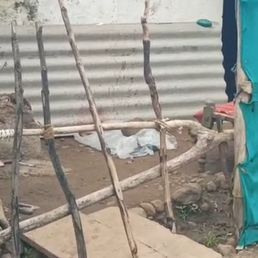 
                 पत्नी की कुल्हाड़ी मारकर हत्या, बच्चे छोड़कर भागा पति:घर में सोते समय किया हमला; सैलून दुकान चलाता है आरोपी 
            