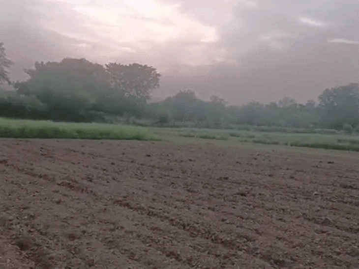 कम बारिश के कारण उदयपुर रेड कैटेगरी में:लगातार सूखे मौसम से किसानों की चिंता बढ़ी, आज सलूंबर सहित कई इलाकों में अलर्ट