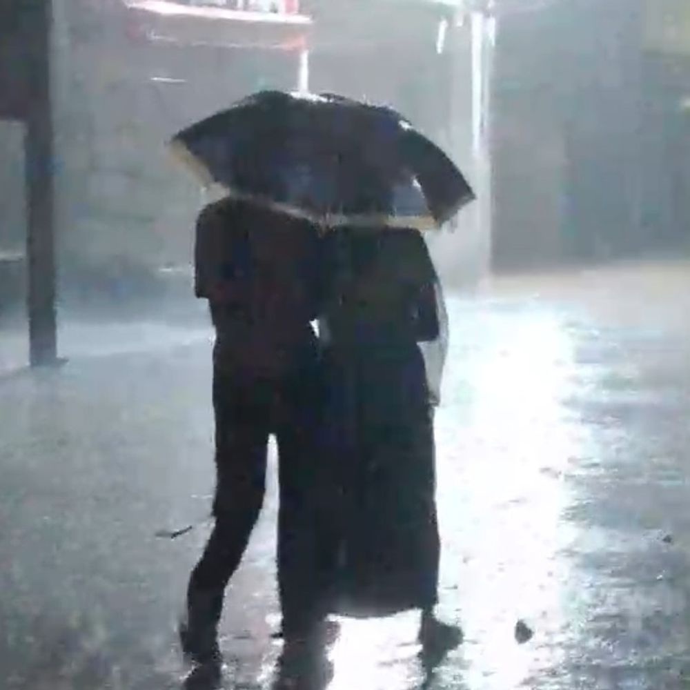 
                 सतना में झमाझम बारिश से बदला मौसम:तापमान में गिरावट, हवा में बढ़ी नमी;उमस से मिली राहत,अगले 4 दिन तेज बारिश के आसार 
            