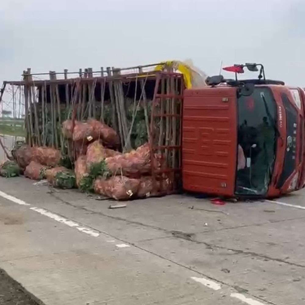 
                 गाय बचाने के प्रयास में सब्जियों से भरा ट्रक पलटा:सिवनी में गोभी से भरी बोरियां हाईवे पर बिखरी, जाम में फंसे वाहन 
            