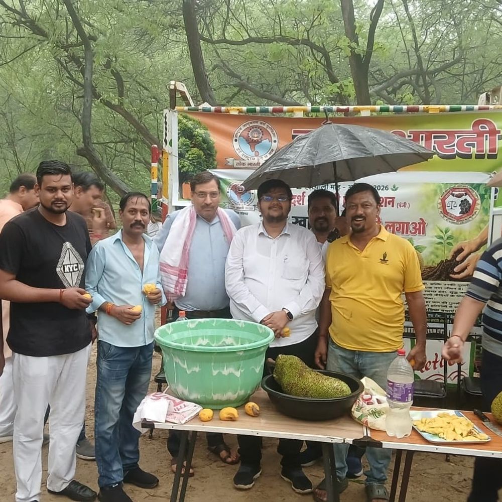 कुकरैल में 'आम खाओ, गुठली लगाओ' पहल:लोक भारती संगठन और आदर्श व्यापारी एसोसिएशन ने परिवार संग किया बीजारोपण