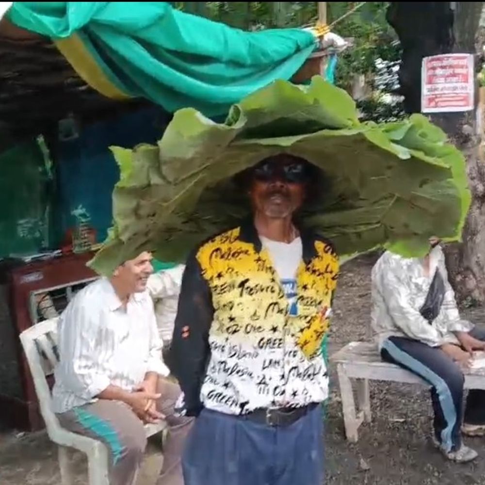 
                 सिवनी में शख्स ने सागौन के पत्तों से बनाई छतरी:बाजार में देख लोगों ने तस्वीरें खींची-वीडियो बनाएं, छतरी चोरी के बाद आया आइडिया 
            
