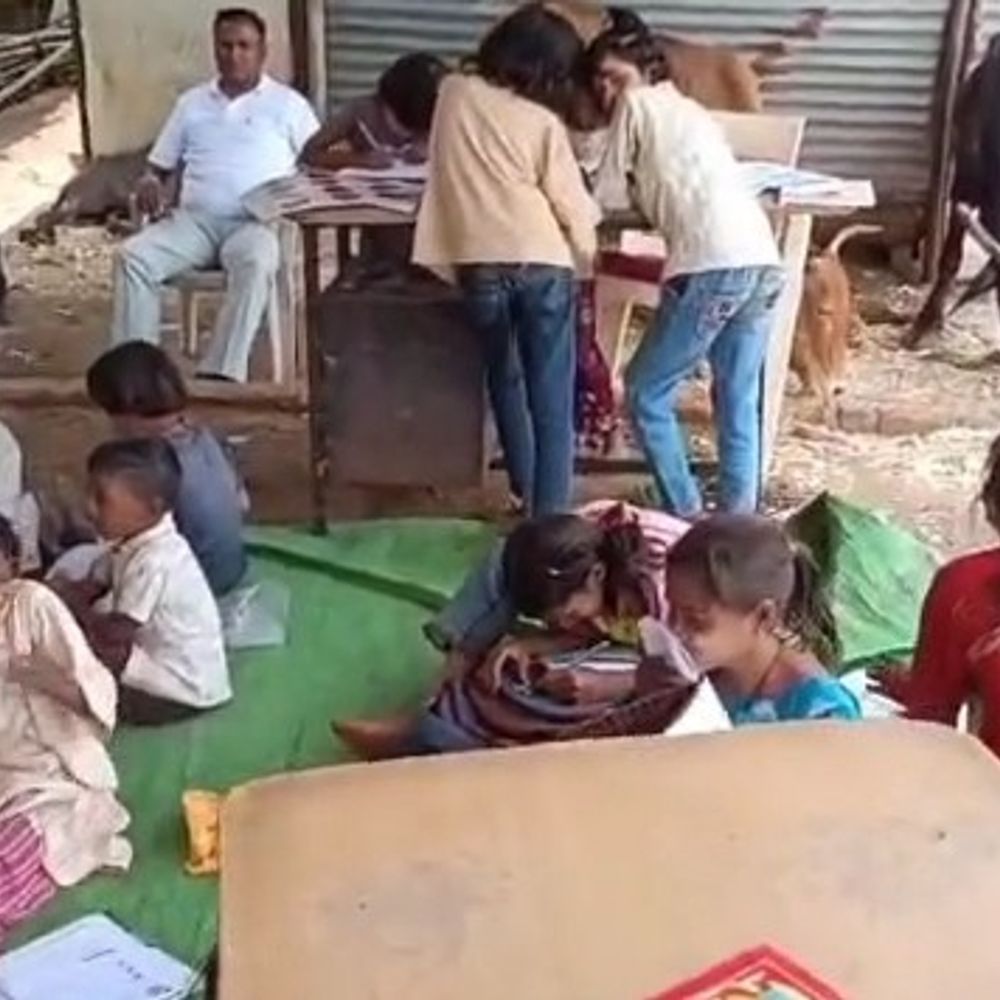 
                 तीन साल से भैंसों के बीच पढ़ रहे 50 बच्चे:खरगोन में प्राइमरी स्कूल में पशुबाड़े में लगी क्लास, जर्जर भवन बंद, नए का इंतजार 
            