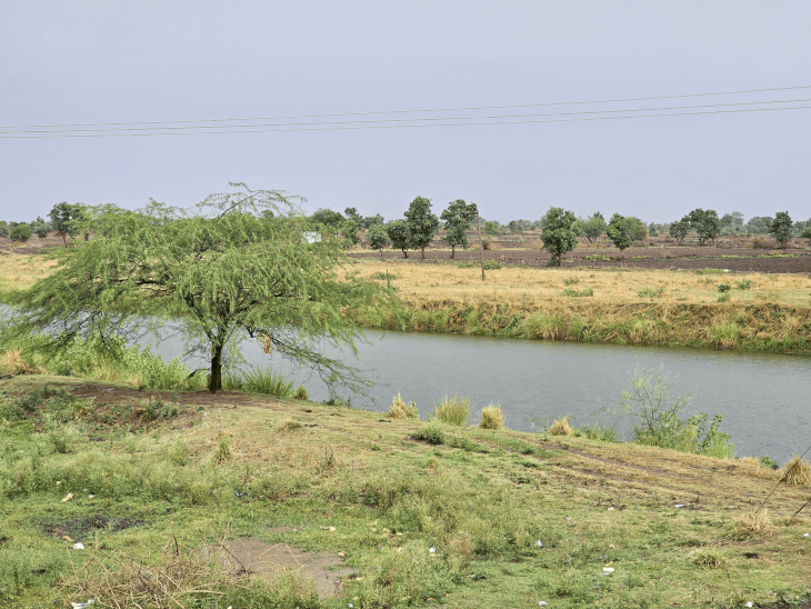 
                 मंदसौर में 11 दिन से बारिश नहीं, जलस्तर घटा:शहर में दो दिन छोड़कर होगी पानी की सप्लाई; कल से मानसून सक्रिय होने के आसार 
            