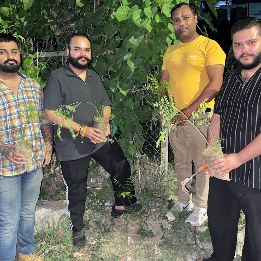 जय भीम क्रांति वेलफेयर सोसाइटी ने लगाए 200 पौधे, लोगों को दिया हरियाली का संदेश