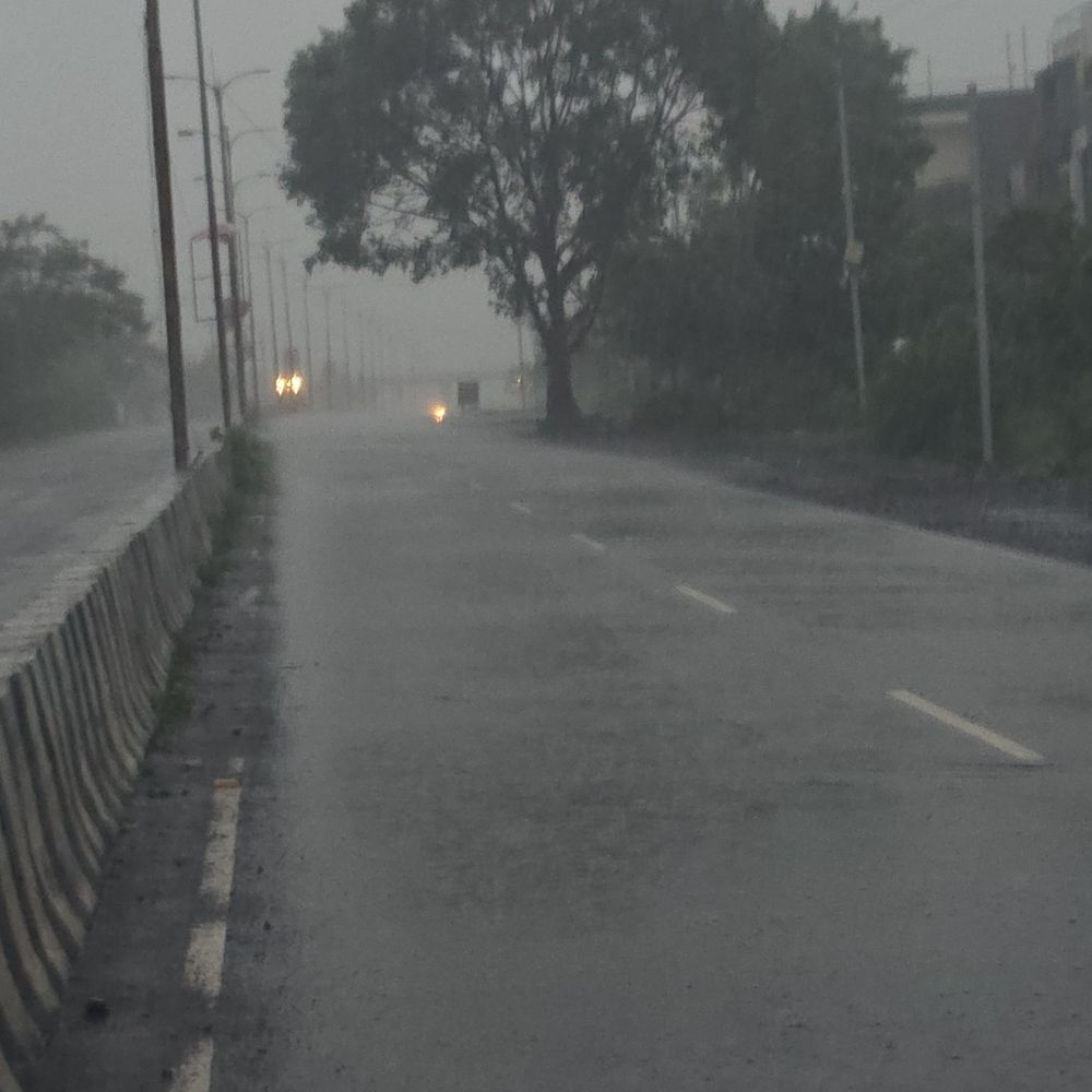 
                 शाजापुर में झमाझम बारिश से लोगों को मिली राहत:अगले 24 घंटे हल्की वर्षा के आसार, कृषि विभाग ने किसानों को दी सलाह 
            