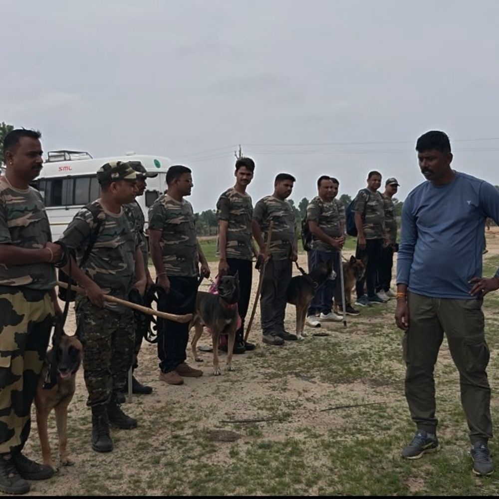 
                 13 खोजी स्वानों को BTR में मिल रहा आधुनिक प्रशिक्षण:वन अपराधों और वन्यजीव तस्करी रोकने के लिए रिफ्रेशर कोर्स शुरू 
            