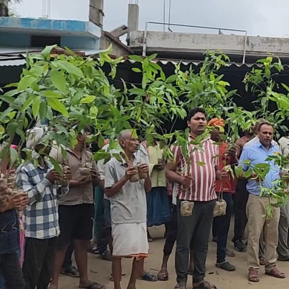 विंध्य एक्सप्रेसवे का किसान कर रहे विरोध:सोनभद्र में 'पेड़ हैं तो प्राण' अभियान के तहत जताया असंतोष