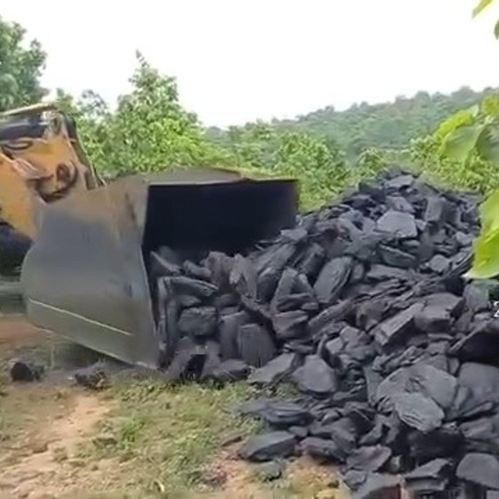 
                 निगाही परियोजना के पास 32 टन अवैध कोयला जब्त:सिंगरौली के जंगल में मिला लावारिस कोयला; खनिज विभाग और एनसीएल की संयुक्त कार्रवाई 
            
