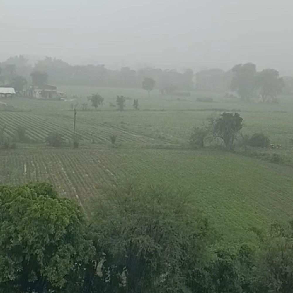 
                 सिवनी में सावन से पहले झमाझम बारिश:खेत-सड़कें तरबतर, खरीफ फसलों को को मिलेगा फायदा; किसानों को राहत 
            