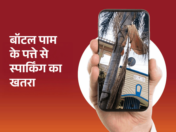 'भास्कर समाधान' से एक क्लिक में हल:खराब स्ट्रीट लाइट और नाली की समस्या का समाधान, नाले और रोड लाइट की समस्या बाकी, भवानी शंकर बने 'पब्लिक के स्टार'