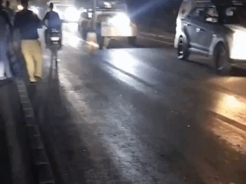 हाईवे पर भेड़ों को कुचला, 11 की मौत:6 से ज्यादा घायल; सड़क क्रॉस करते समय हुआ हादसा