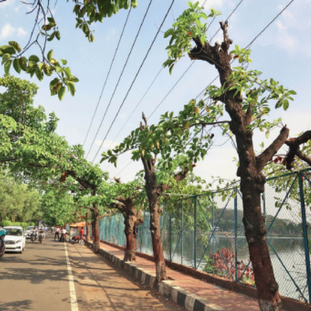 शाहपुरा तालाब के बफर जोन में अवैध निर्माण पर रोक:भोपाल में एनजीटी के आदेश; कलियासोत में कार रैली को लेकर शिकायत