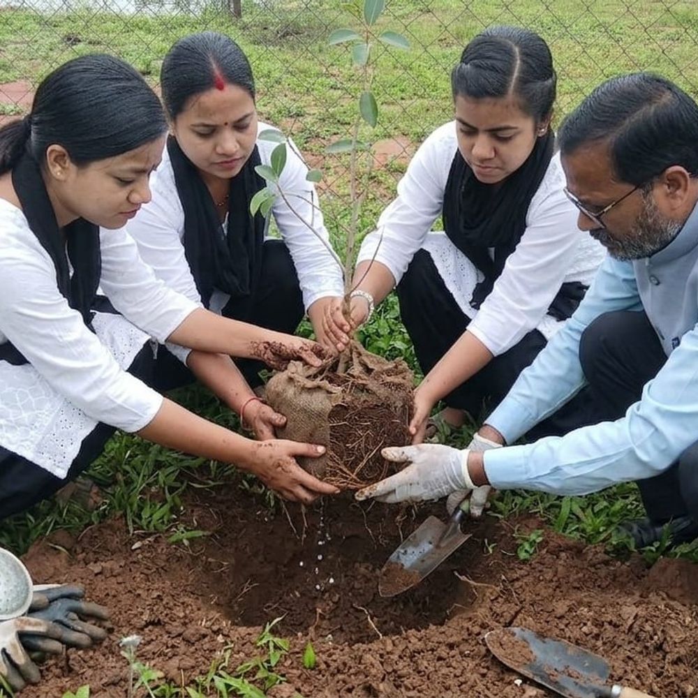 
                 अनूपपुर में लगेंगे 1.14 लाख पौधे:वन विभाग लगाएगा 3 लाख अतिरिक्त पौधे; 10 निकायों में 22 जुलाई से महाअभियान 
            