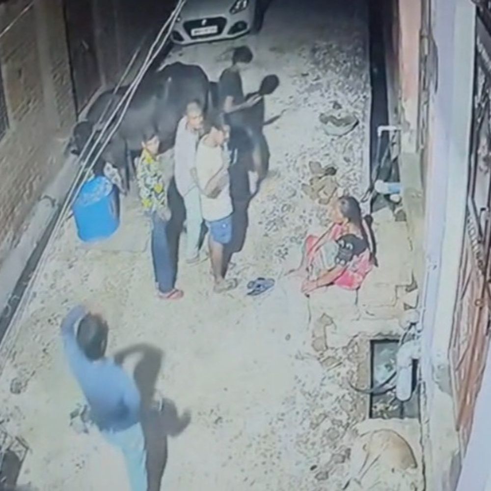
                 बेटे के विवाद में पिता पर फायरिंग:मुरैना में गोली चलाते सीसीटीवी में दिखे आरोपी, एक आरोपी गिरफ्तार 
            