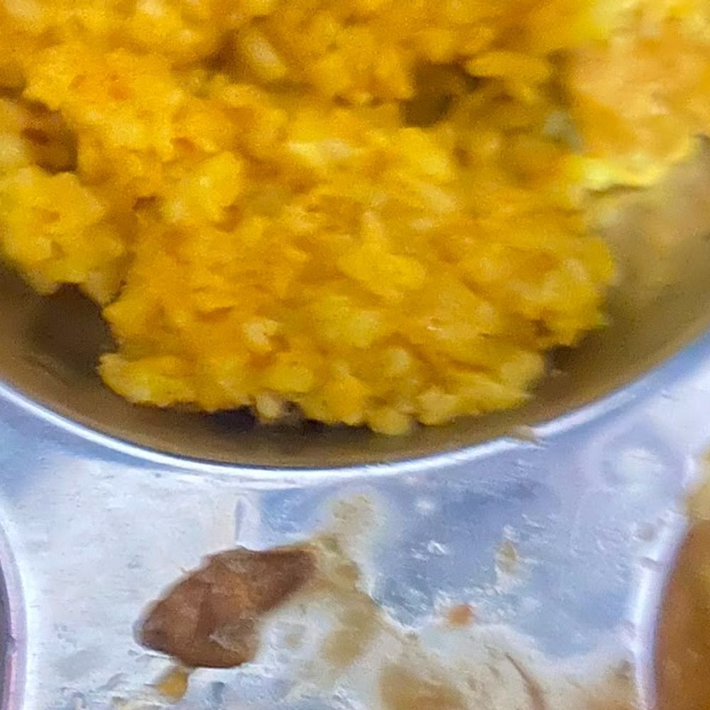 
                 एकलव्य विद्यालय के खाने में कीड़े निकलने का दावा:छात्रों के प्रदर्शन के बाद सामने आया वीडियो, प्रदर्शन के बाद हरकत में आया प्रशासन 
            