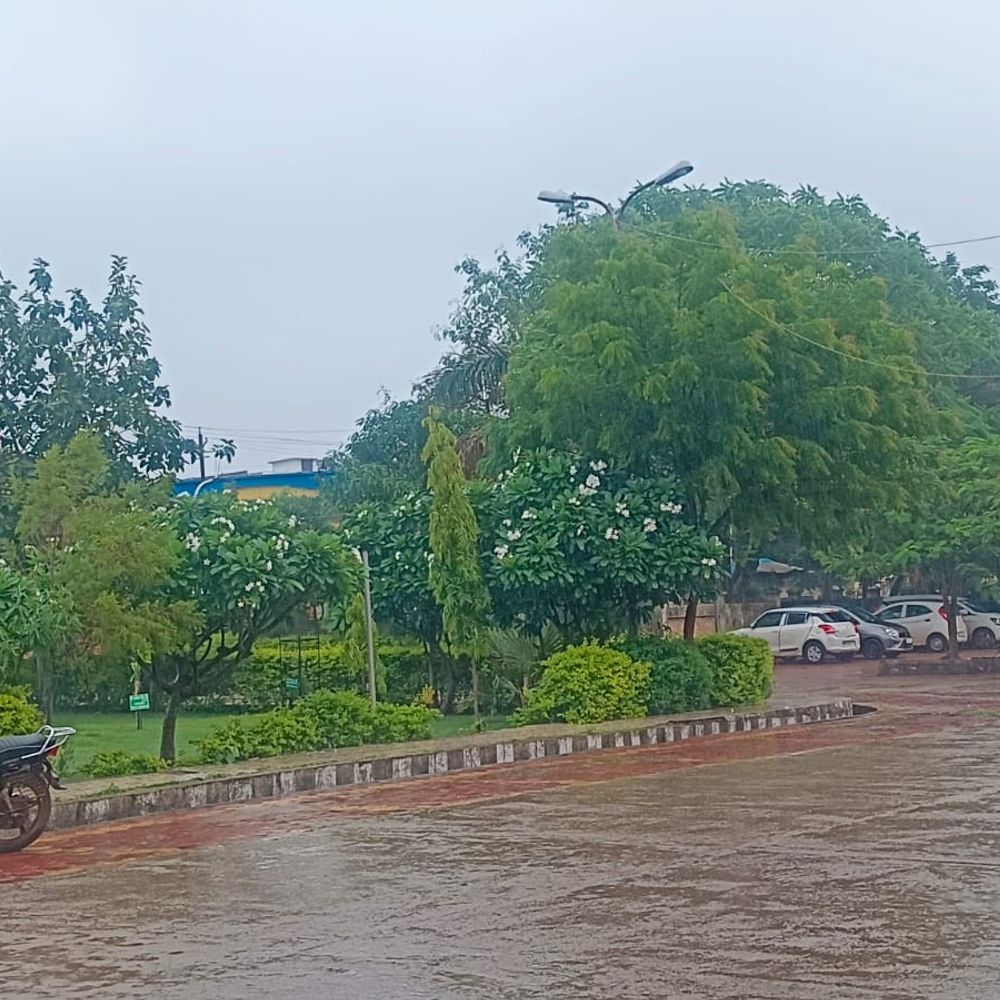 
                 24 घंटे में चंदेरी में सबसे ज्यादा 2 इंच बारिश:मुंगावली, अशोकनगर और ईसागढ़ में भी हुई हल्की बरसात, 27°C पर पहुंचा पारा 
            
