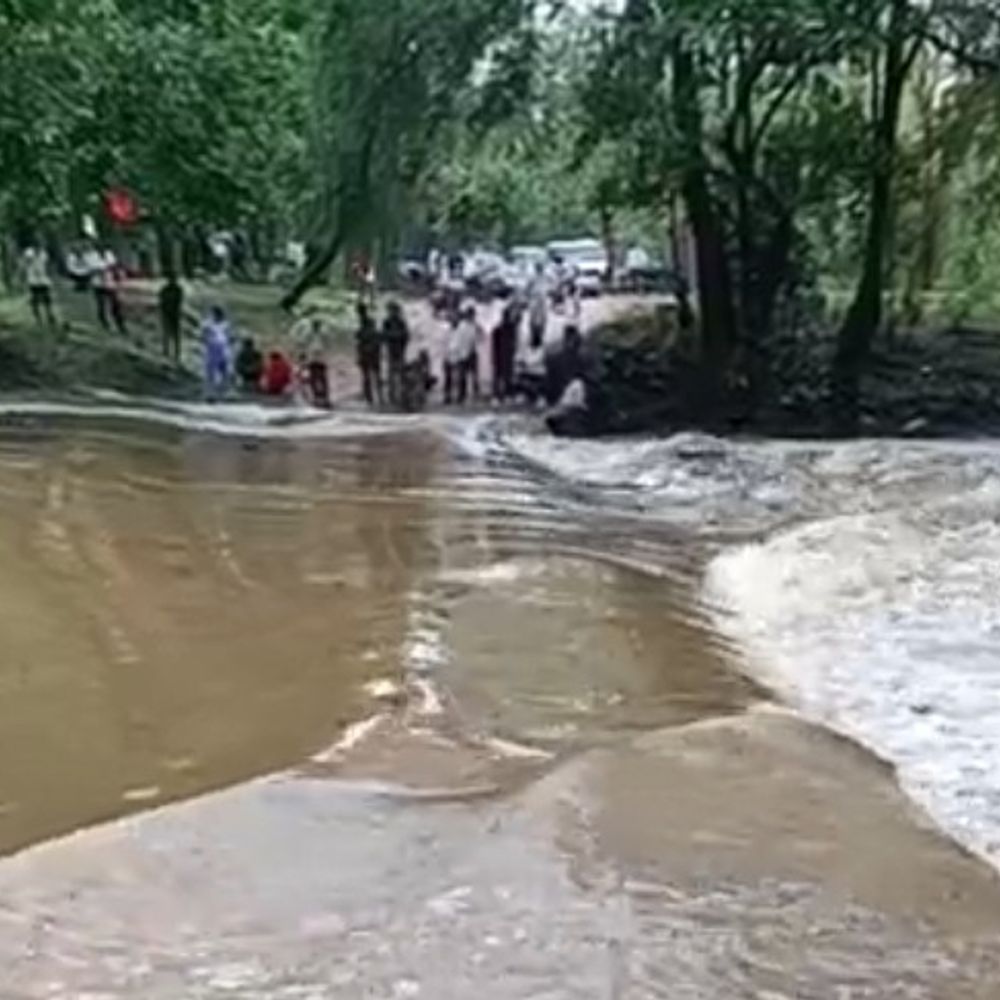 
                 PTR के बफर क्षेत्र में पुल निर्माण की मांग:ग्रामीण बोले- बारिश में टापू बनता है गांव, कलेक्टर को सौंपा ज्ञापन 
            