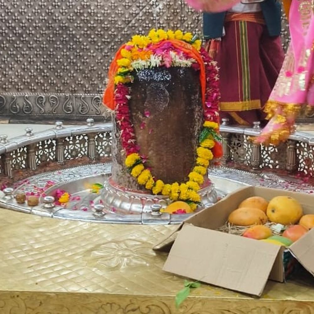 
                 बाबा महाकाल को चढ़ाए दुनिया के सबसे महंगे आम:जबलपुर के भक्त ने अर्पित कीं 8 विदेशी किस्में; 12 साल से निभा रहे परंपरा 
            