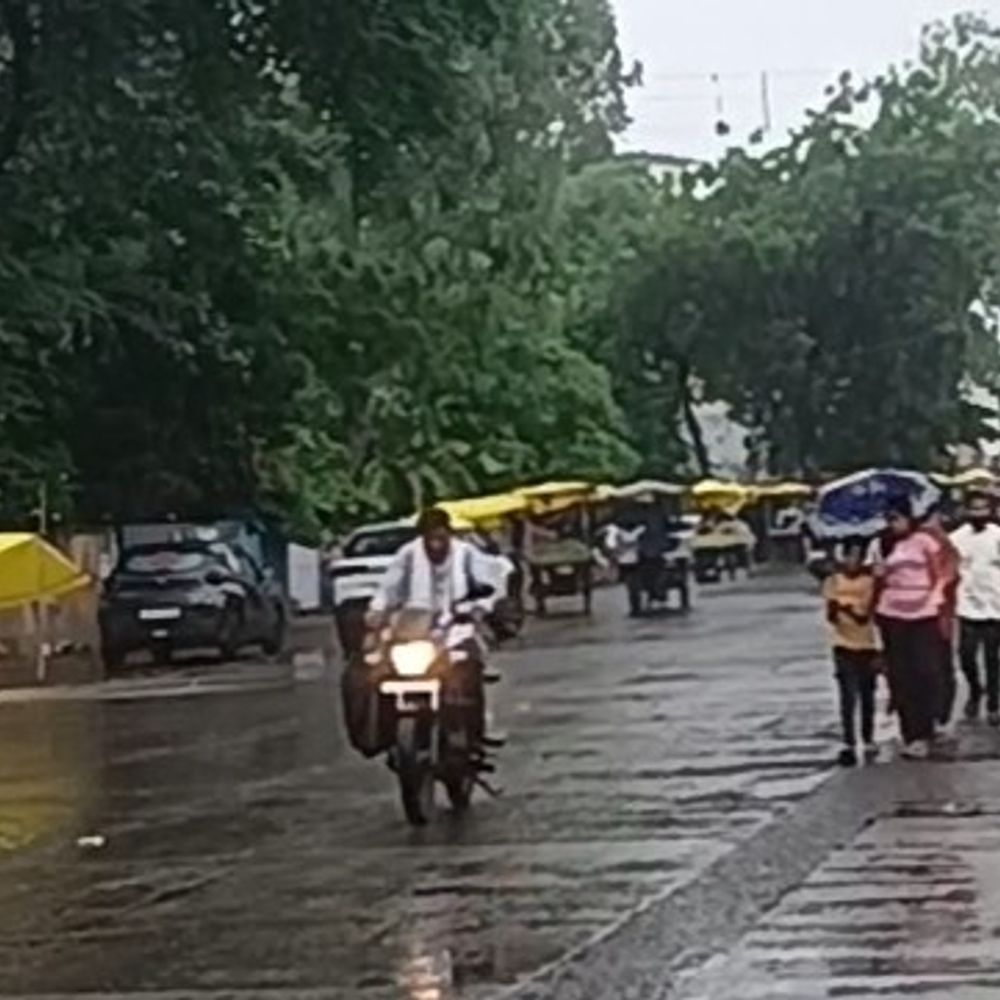 
                 13 दिन बाद बारिश से खरीफ फसलों को मिला जीवनदान:खरगोन में पारा पांच॰ गिरा; सोयाबीन, कपास, मक्का और मिर्च फसलों को राहत मिली 
            