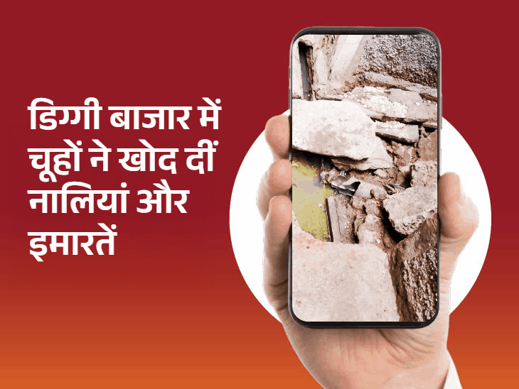 एक्सईएन राकेश गहलोत बने 'स्टार ऑफिसर':अजमेर में एक साल से खुले चैम्बर की समस्या हुई हल, आना सागर की रोड लाइट भी सुधरीं, चूहों और बिजली के तारों की समस्या