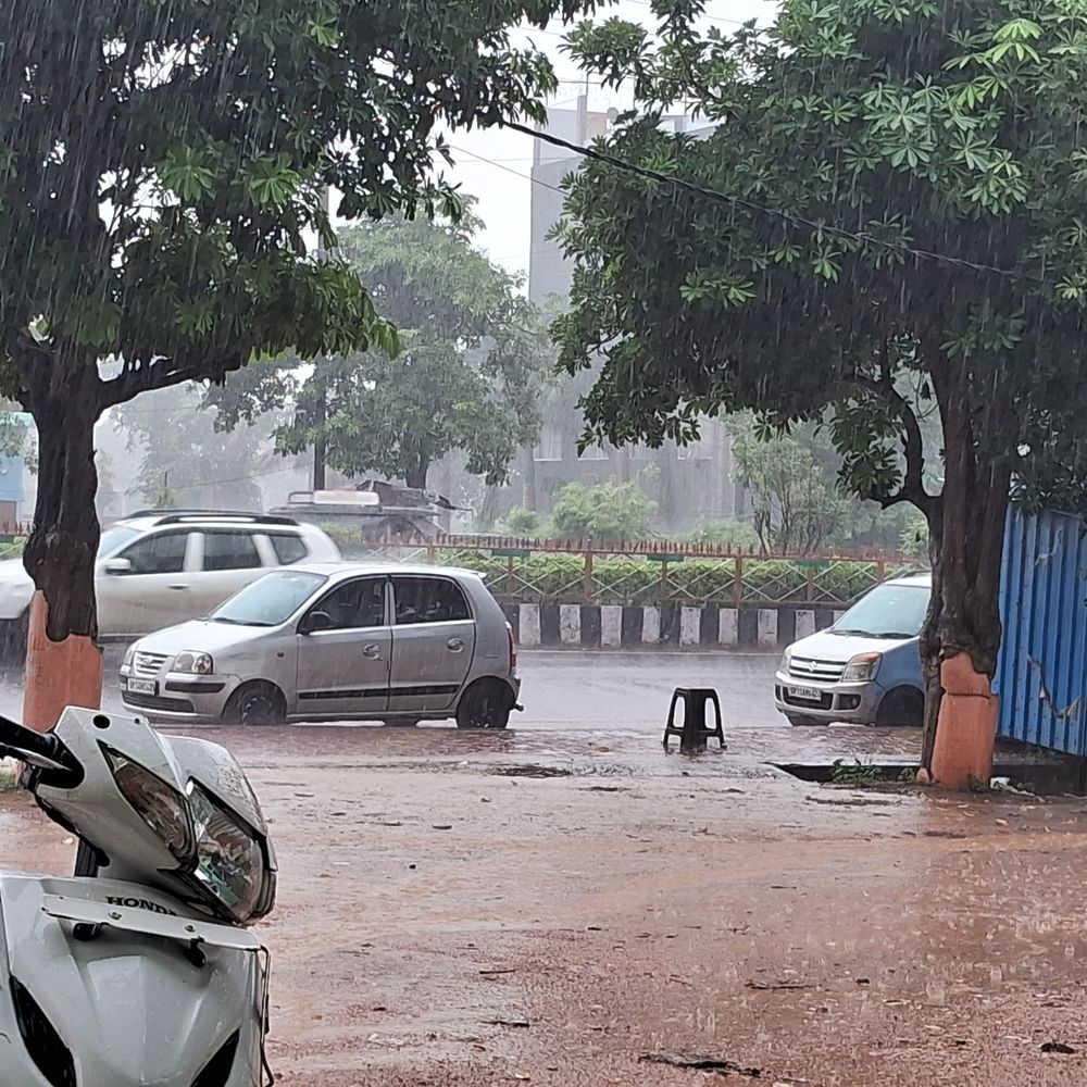 
                 टीकमगढ़ में 24 घंटे में 1 इंच से अधिक बारिश:इस सीजन में अब तक 10.6 इंच बारिश; अगले 3 दिन बारिश का अनुमान 
            