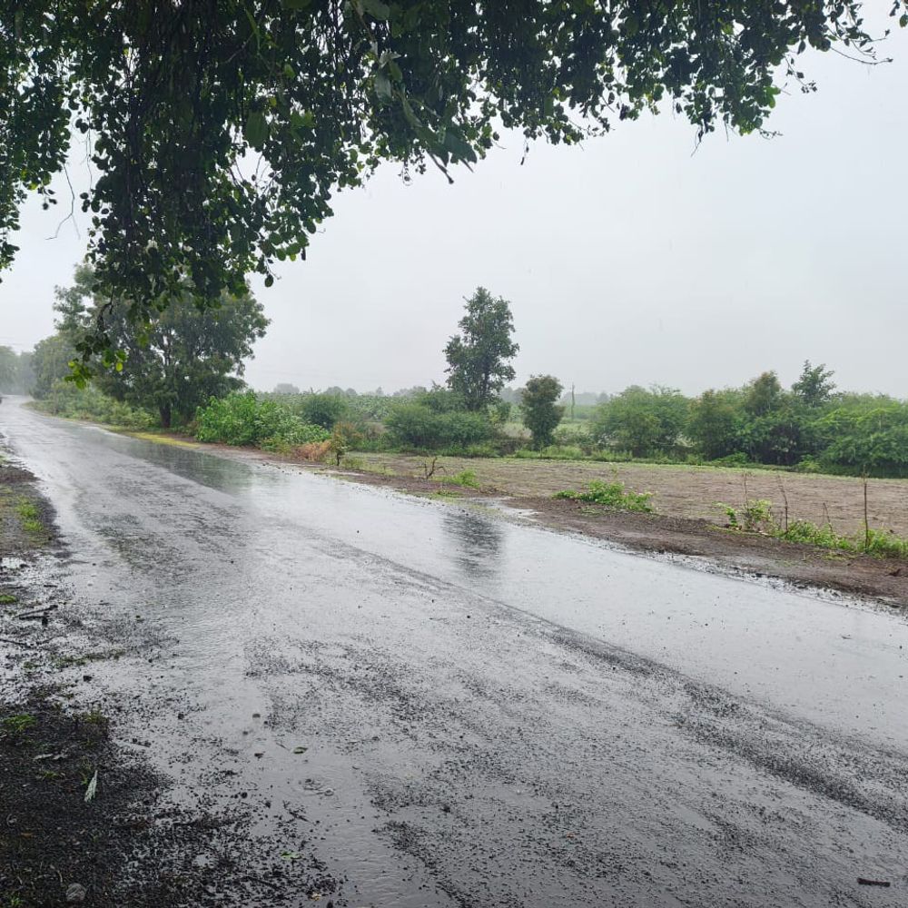 
                 बुरहानपुर 10 दिन बाद बारिश लौटी:ग्रामीण इलाकों में अच्छी वर्षा से राहत मिली; सीजन में 12.7 इंच बरसात रिकॉर्ड 
            
