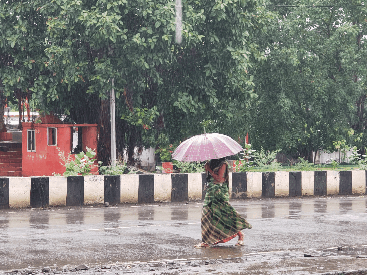 10 दिन बाद मानसून की दमदार वापसी:8 घंटे झमाझम बारिश से मौसम हुआ सुहाना,मौसम विभाग ने गरज-चमक के साथ मध्यम बारिश का अलर्ट किया जारी