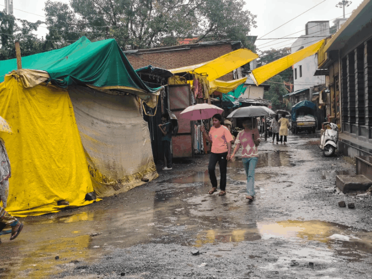 9 जुलाई के बाद पहली बार सक्रिय हुआ मानसून:सोयाबीन-मक्का की फसलें नमी के इंतजार में, मौसम विभाग ने अगले 5 दिन बारिश और बिजली गिरने का अलर्ट जारी किया