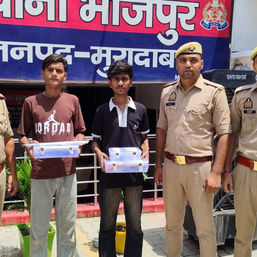 मुरादाबाद में चिकन सेंटर संचालक के हत्यारोपी गिरफ्तार:पुलिस कस्टडी में बोले-हम उसे नहीं मारते तो वो हमें मार देता