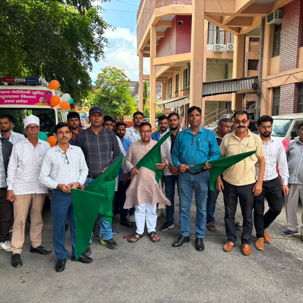 मुजफ्फरनगर में 5.31 लाख पशुओं को लगेगा मुफ्त टीका:खुरपका-मुंहपका रोकने को 45 दिन का अभियान शुरू, DM ने दिखाई हरी झंडी