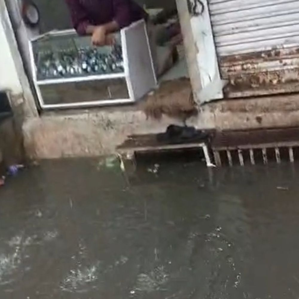 
                 सीहोर में 24 घंटे में 2.24 इंच औसत बारिश दर्ज:बुधनी में सबसे ज्यादा 4.5 इंच वर्षा,भारी वर्षा का अलर्ट; नदी-नालों के बढ़ते जलस्तर को लेकर प्रशासन ने जारी की चेतावनी 
            