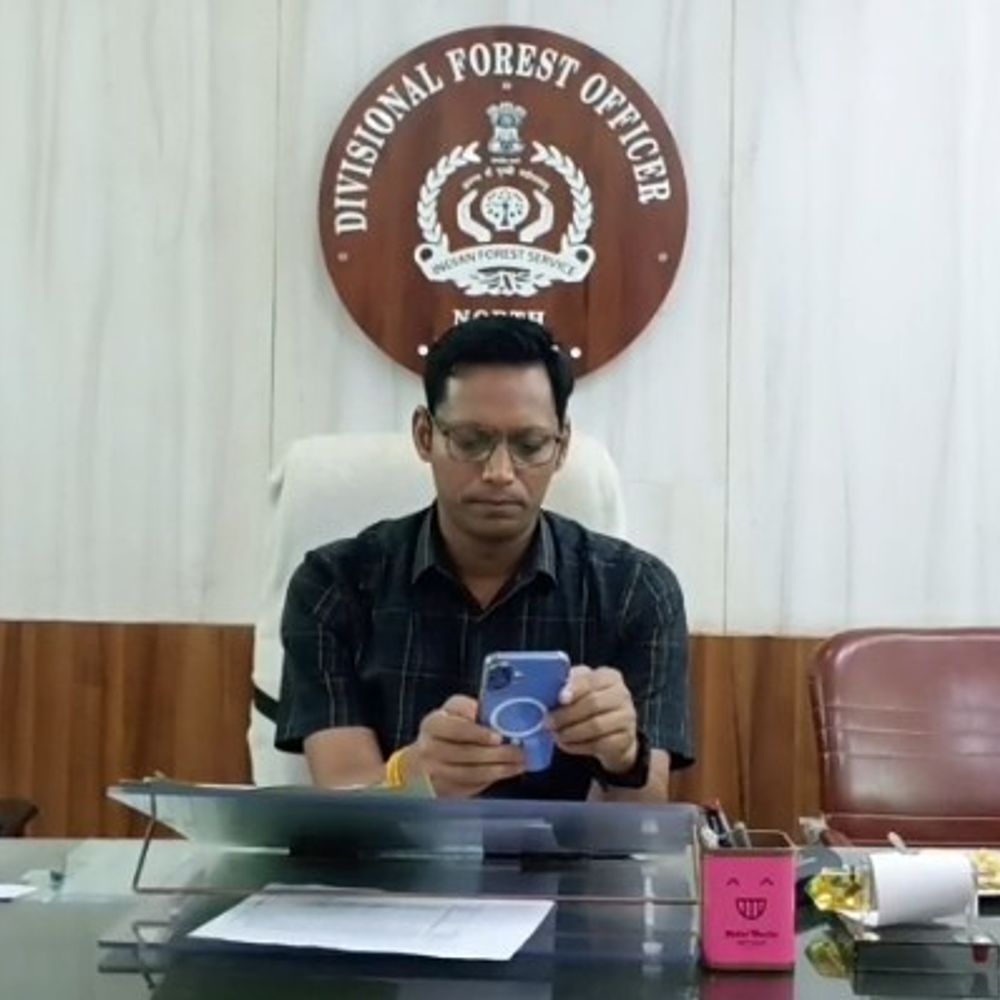 
                 पन्ना में जहरीला सियार खाने से 8 गिद्धों की मौत:पहाड़ीखेरा के खेत में मिले शव, वन विभाग ने शुरू की जांच 
            