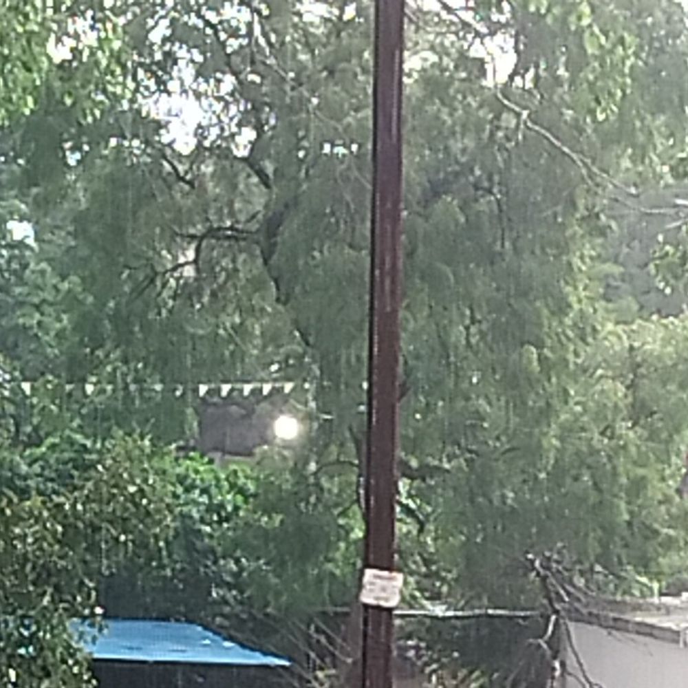 
                 आगर-मालवा में रुक-रुककर बारिश से फसलों को फायदा:15 दिन की उमस के बाद बदला मौसम, लोगों को गर्मी राहत 
            