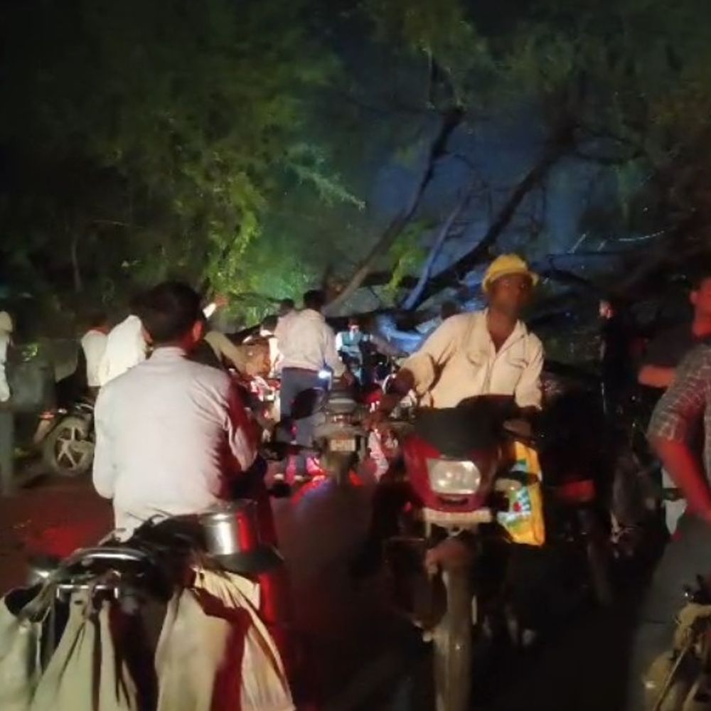
                 बारिश में सड़क पर गिरा विशाल पेड़:मैहर-बरही मार्ग पर घंटों यातायात बाधित रहा; बिजली आपूर्ति भी हुई प्रभावित 
            