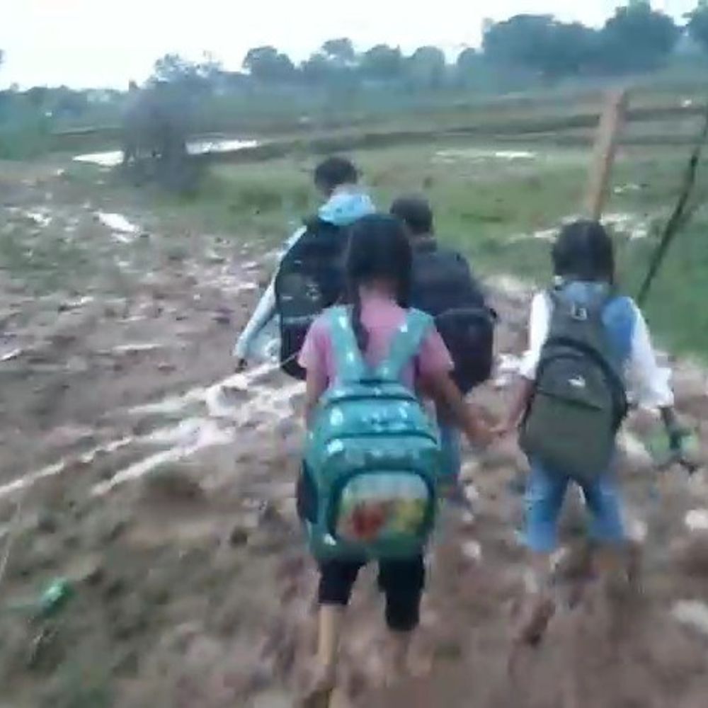 
                 बच्चों का वीडियो, बोले- मम्मी... अब हम स्कूल नहीं जाएंगे:हनुमना में कीचड़ भरे रास्ते से ग्रामीण परेशान, स्थायी समाधान की मांग 
            