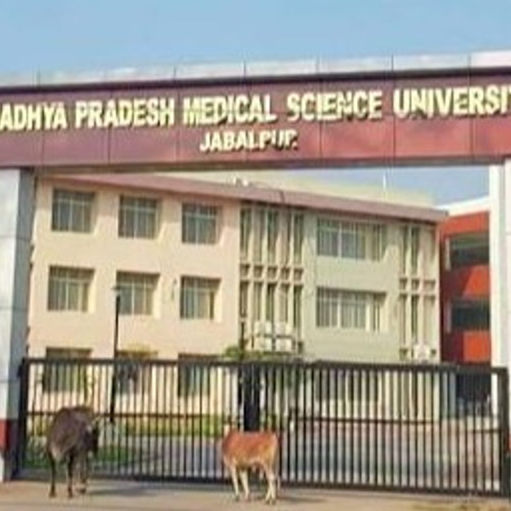 
                 जबलपुर मेडिकल विश्वविद्यालय का विखंडन:सामाजिक संस्था ने राज्यपाल को पत्र लिखा, मंजूरी न देने की मांग; जल्द हाईकोर्ट में लगाएंगे याचिका 
            