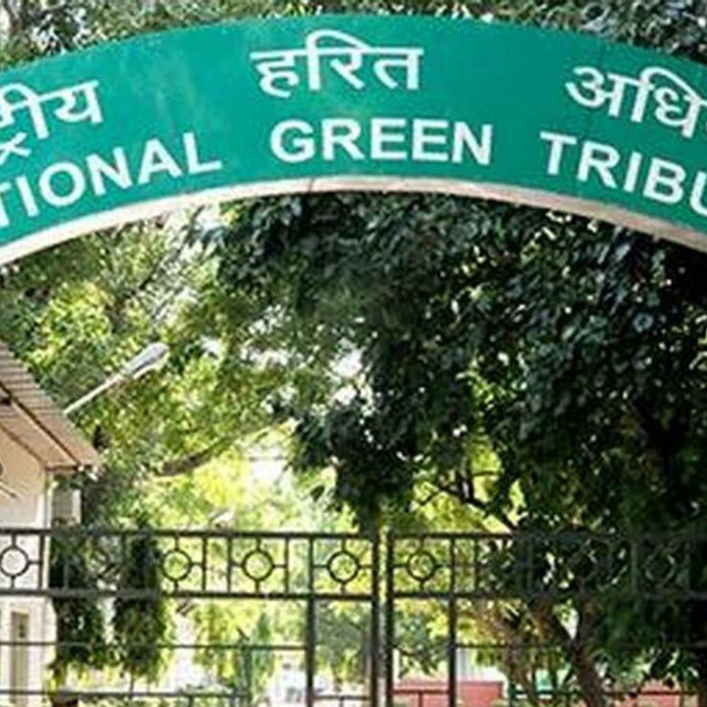 
                 एनजीटी ने कहा:नर्मदा में दूध चढ़ाना धार्मिक आस्था, लेकिन इसे प्रदूषित न करें 
            