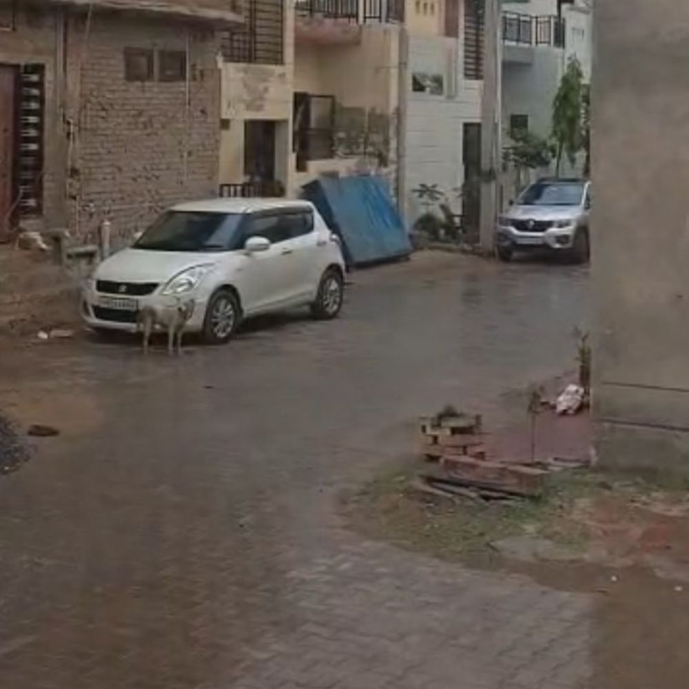 हनुमानगढ़ में आज स्कूलों में छुट्टी:भारी बारिश की चेतावनी के चलते लिया फैसला, कई इलाकों में रातभर रुक-रुक कर बरसे मेघ