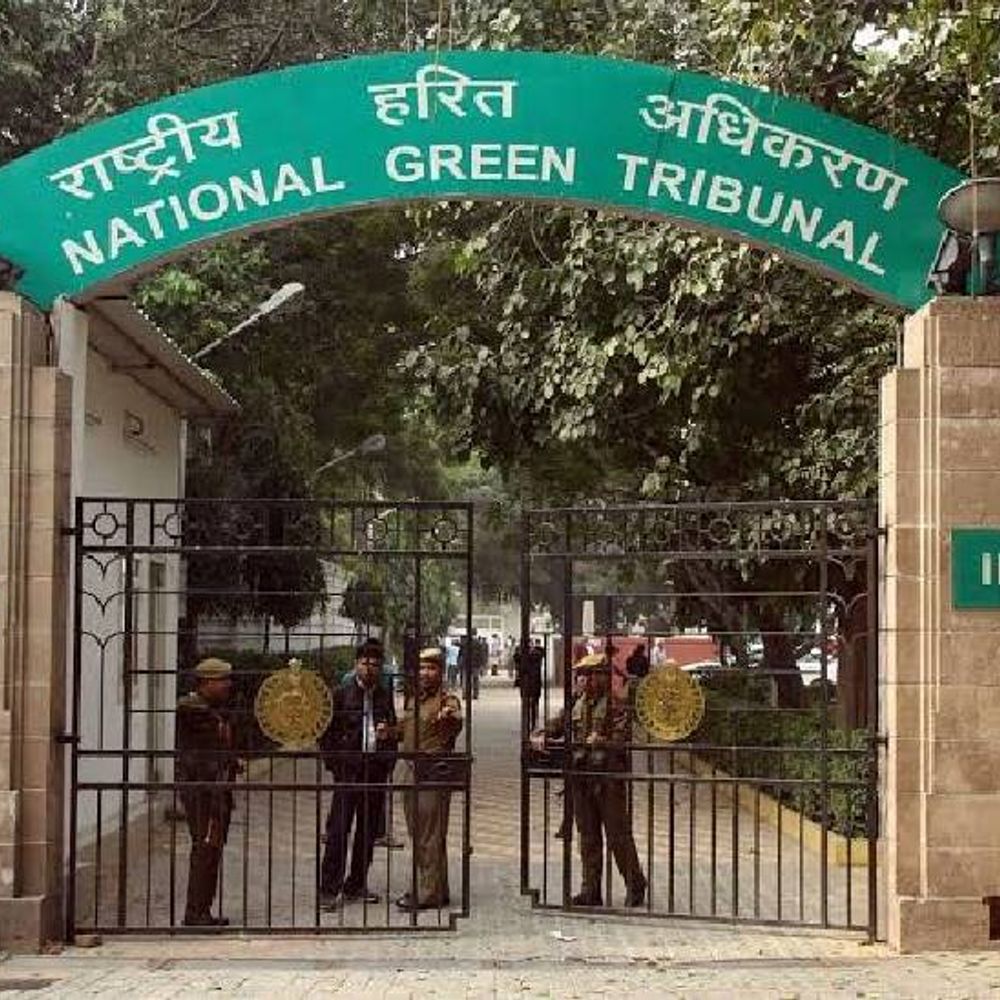 
                 इंदौर में दोबारा न हो जल प्रदूषण:NGT ने हाई कोर्ट के दिशा-निर्देशों को बताया अहम; भागीरथपुरा दूषित पानी कांड में कोर्ट की कार्रवाई पर जताया भरोसा 
            