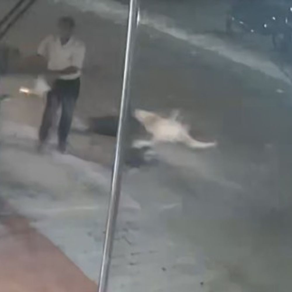 मेरठ में तेज रफ्तार बाइक ने महिला को मारी टक्कर:10 फीट दूर गिरी, हादसा सीसीटीवी में कैद; दो युवक फरार