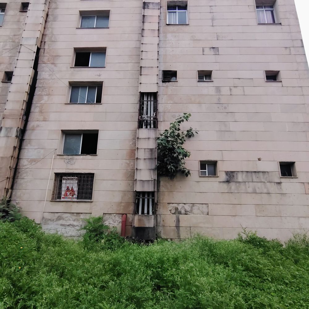 झालावाड़ मिनी सचिवालय की इमारत जर्जर, उग आए पीपल:दीवारों और पाइपलाइन को नुकसान, मरम्मत की अनदेखी