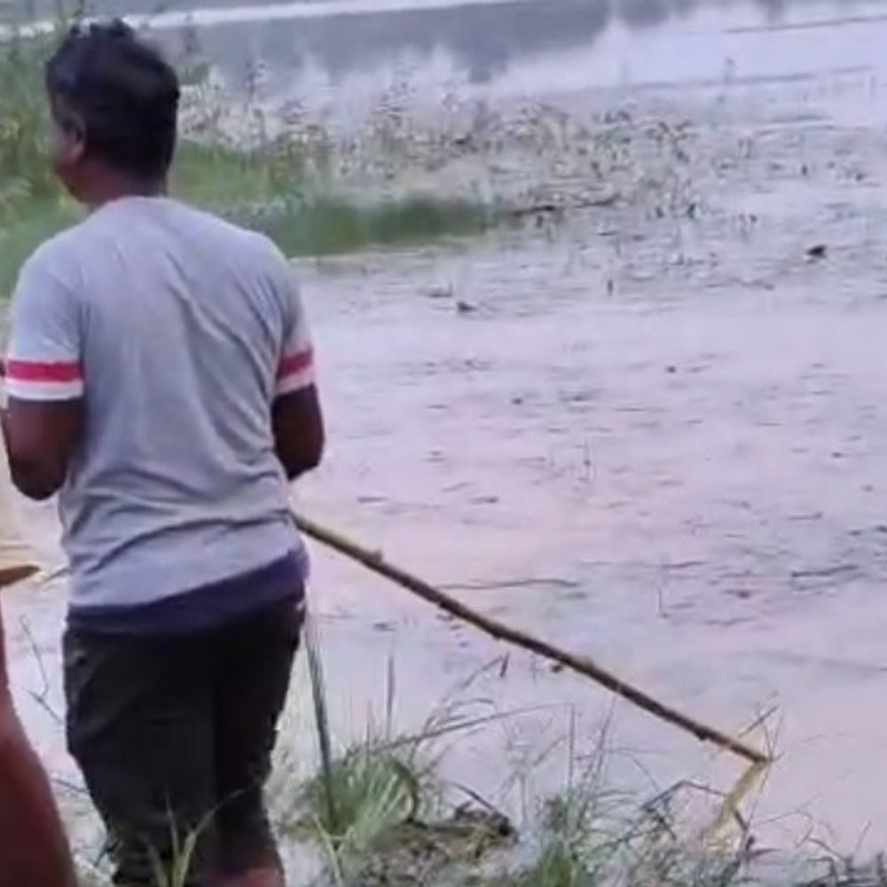 शिक्षक सोन नदी में डूबा, शव की तलाश जारी:जैतहरी के दूधिया घाट पर मछली पकड़ने गया था, अजगर से उलझने की आशंका